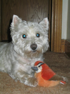 Yuki avec son oiseau